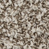 Aladdin Carpet Flooring