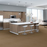 Shaw Philadelphia Commercial Carpet Tile Flooring